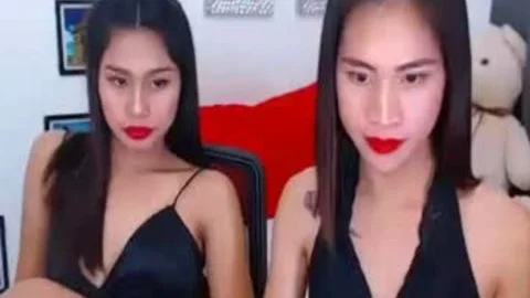 Ladyboy POV gets plowed