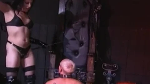tgirl Takes Control Over rod