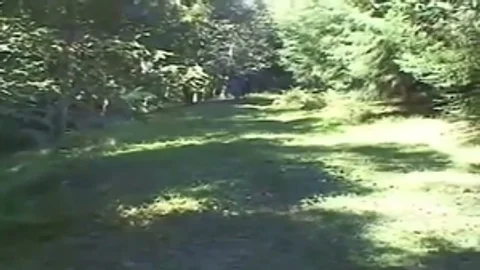 Riding A Sthis chabmale