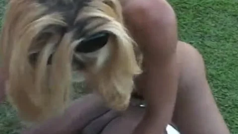 Two homosexual men And lady-man Lisa Lawer outside plowing Each Others wazoo Holes