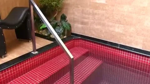 shemale Larissa Albuquerque fake penis Action