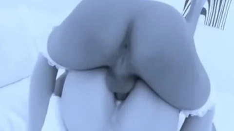 shelady Dream