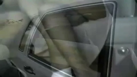 monstrous jocked tranny Leah receives poked In Back Of Limo